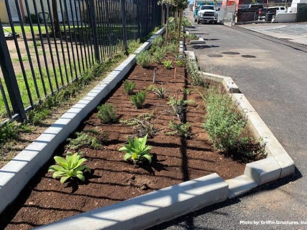 Planting in Bradley Green