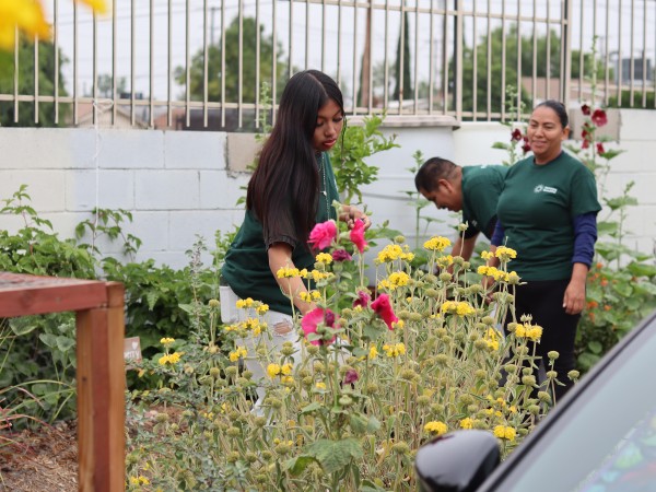 Jardin Pacoima