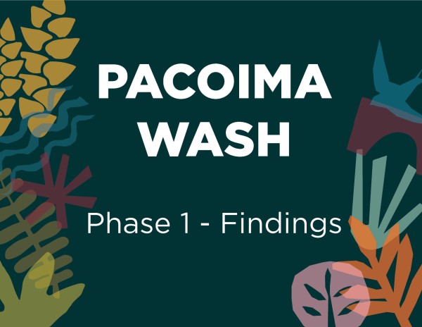 Pacoima Wash Phase 1 Findings