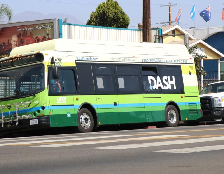 Dash Bus Line