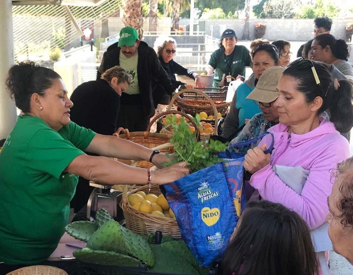Mercado Pacoima