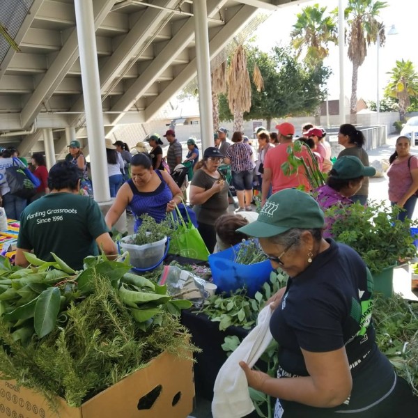 Mercado Pacoima