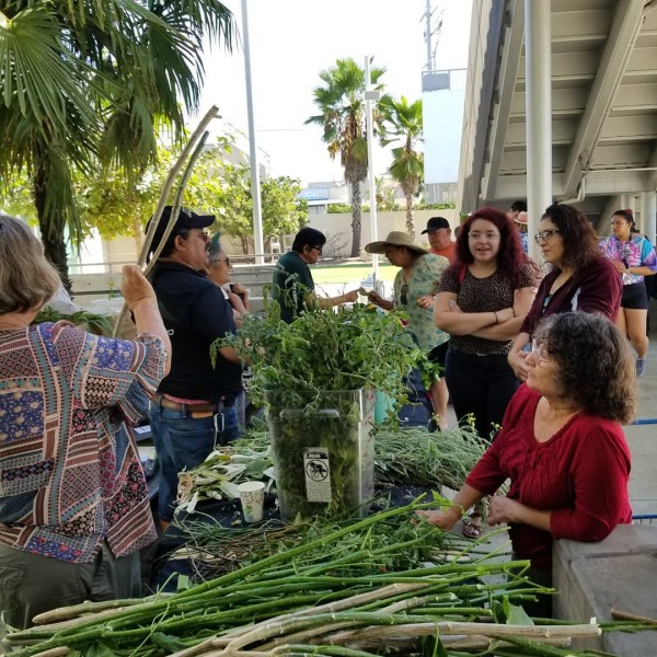 Mercado Pacoima