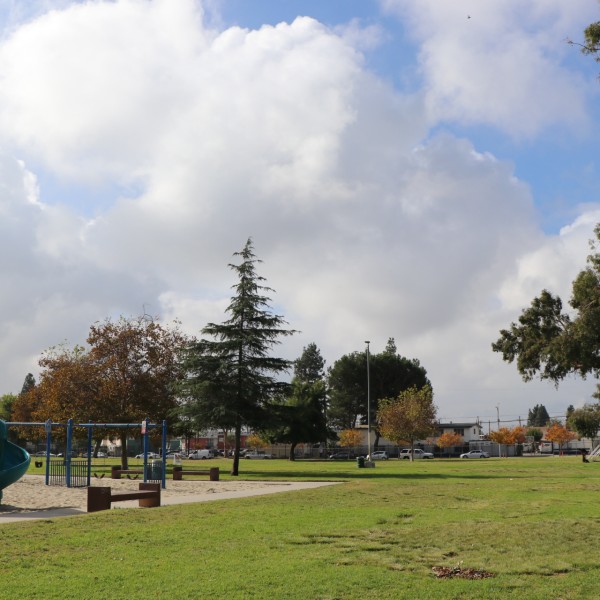 David M Gonzales park grass area