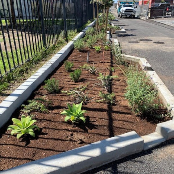 Alley Planting