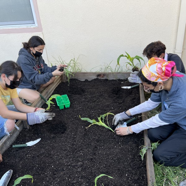 YUTEP gardening session