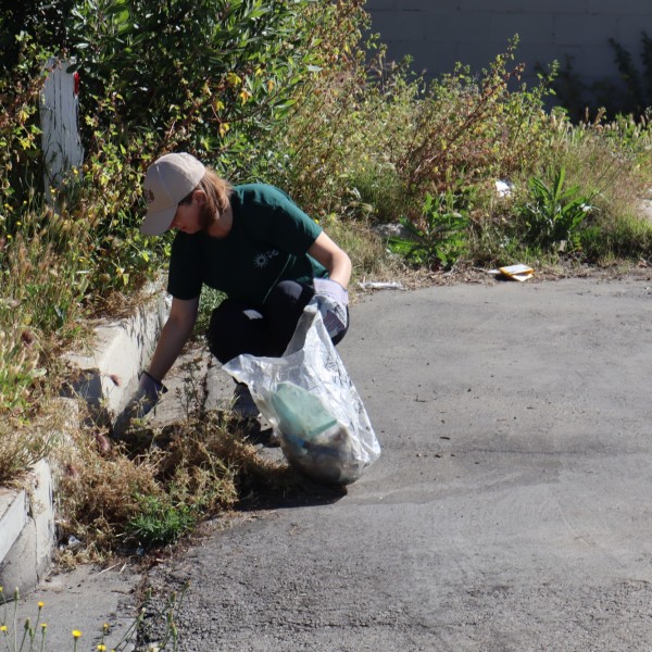 Community clean up