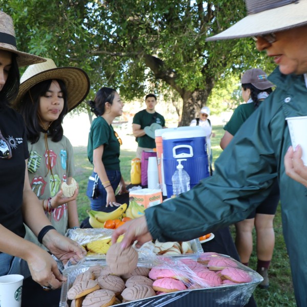 Community clean up
