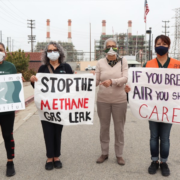 Mothers against Pollution