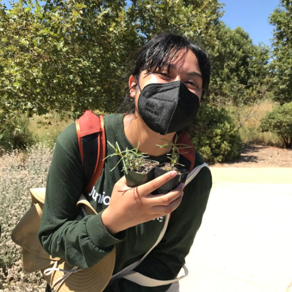 Ranger participating in workshop