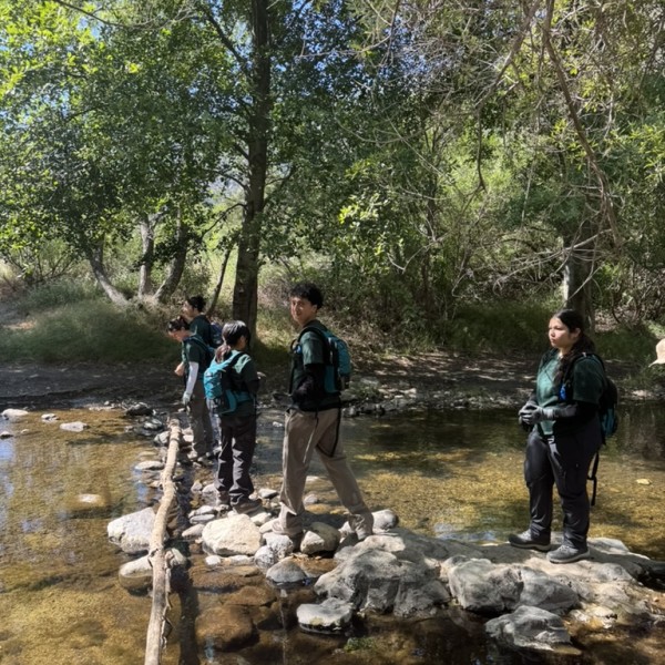 Junior Field Rangers