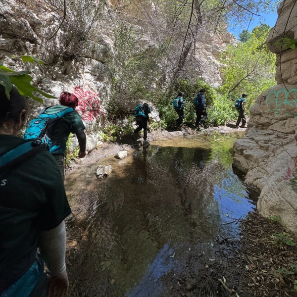 Junior Field Rangers