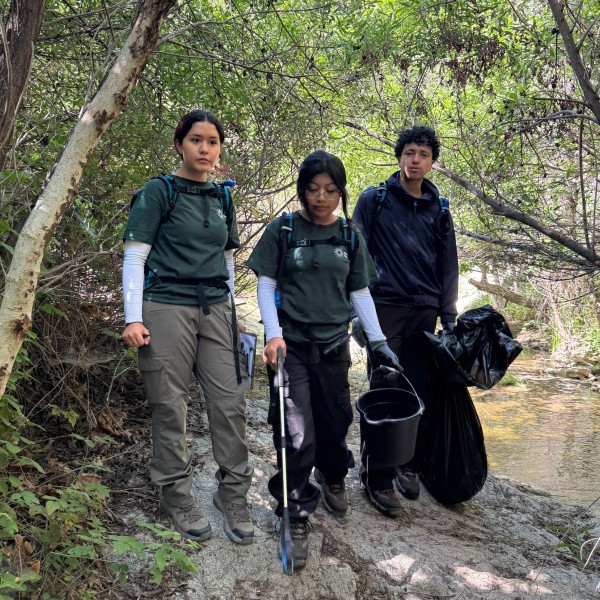 Junior Field Rangers
