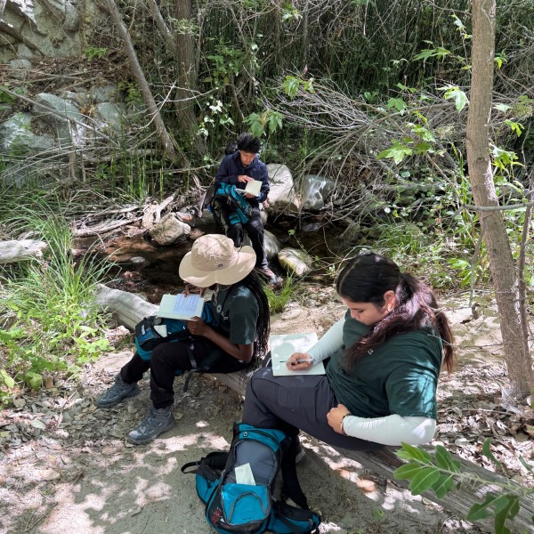Junior Field Rangers