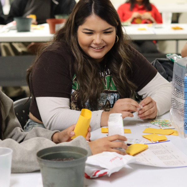 YUTEP: Demystifying Seeds