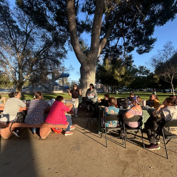 Open Space and Parks