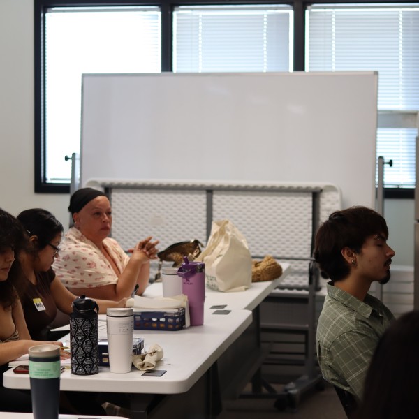 People's Collaborative Academy