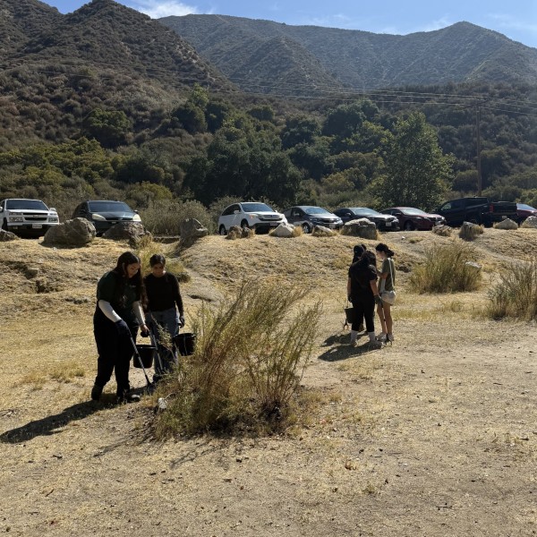 Junior Field Rangers