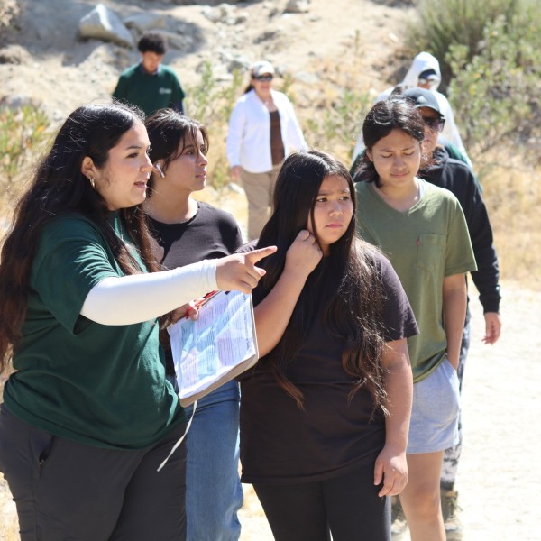 Junior Field Rangers