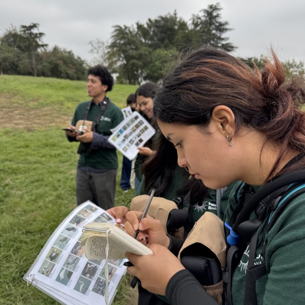 Junior Field Rangers