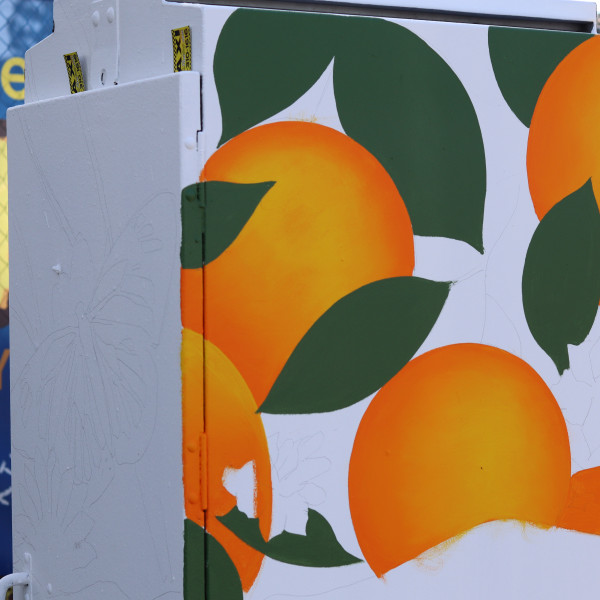 Utility Boxes