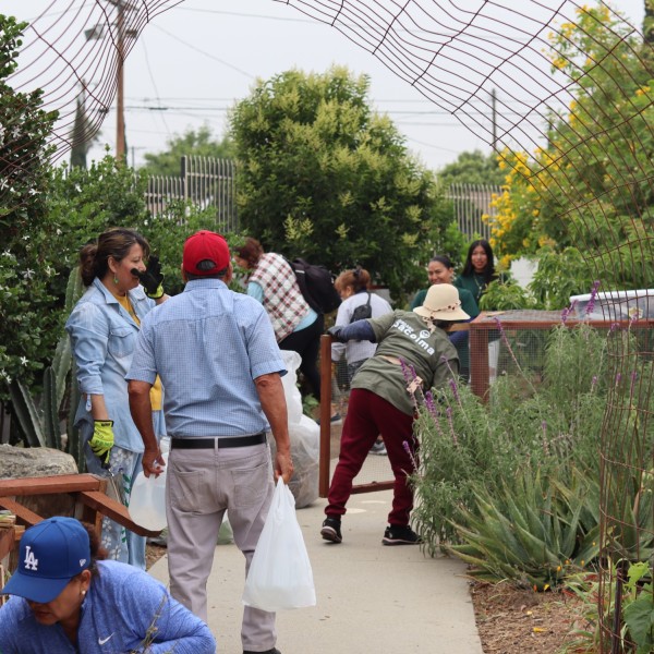 Jardin Pacoima