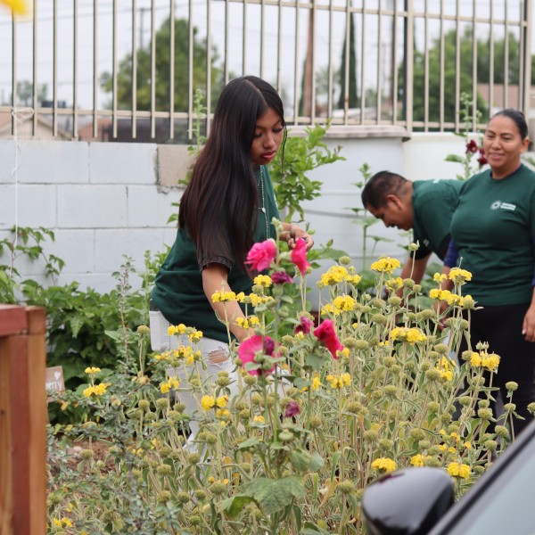 Jardin Pacoima
