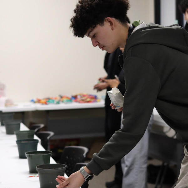 YUTEP: Demystifying Seeds