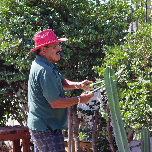Jardin Pacoima