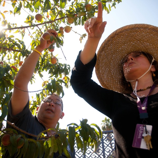 Garden Class with Pacoima Beautiful