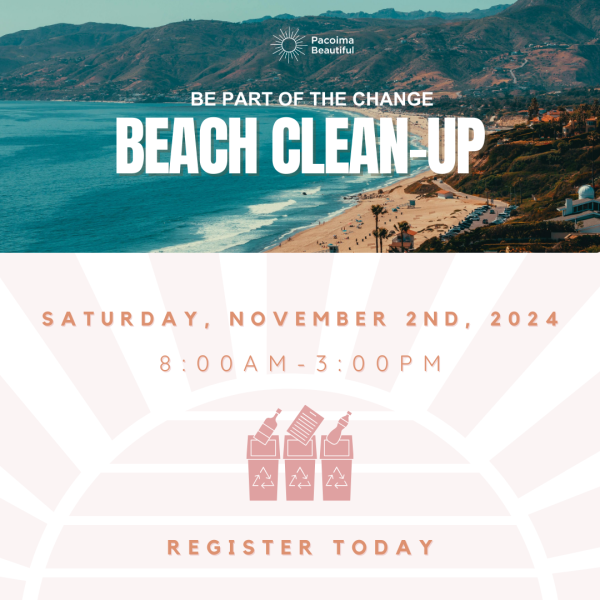 Participate in our beach clean-up!