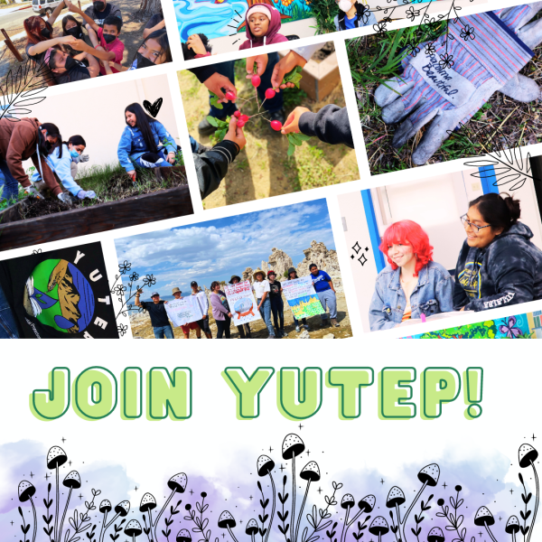 Join YUTEP (Youth United Toward Environmental Protection)