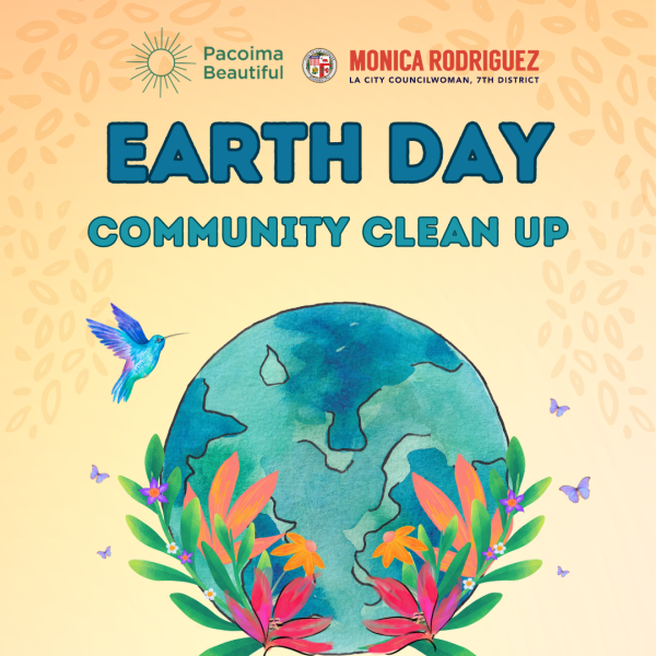 Earth day community cleanup