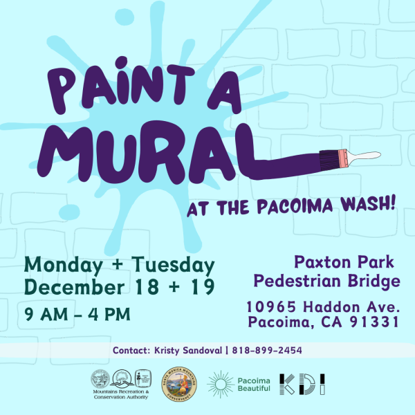 Paint a Mural