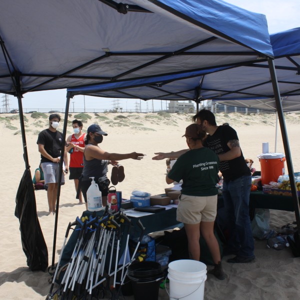 beach clean up