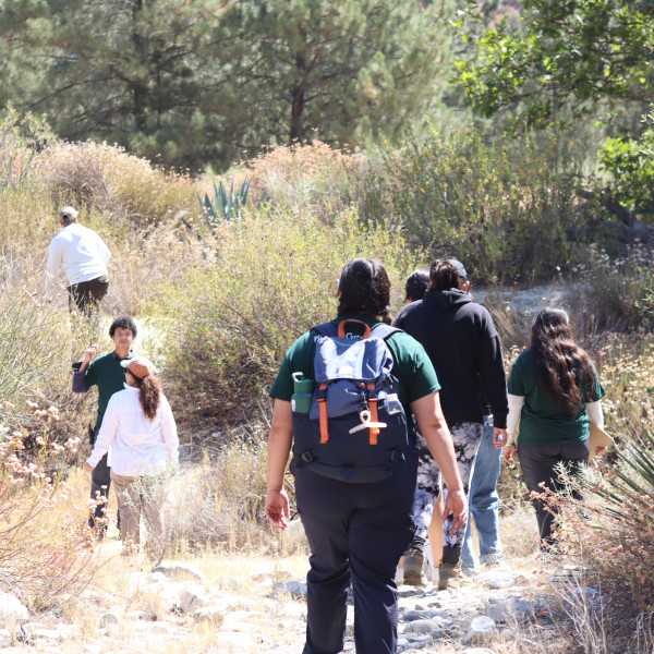 Junior Field Rangers