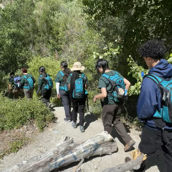 Junior Field Rangers