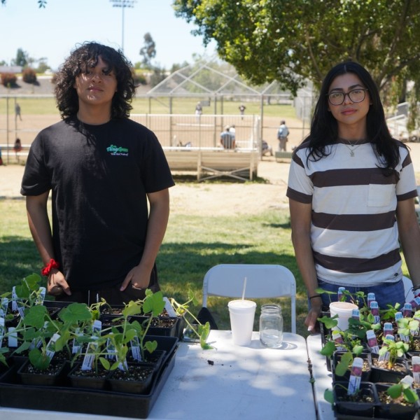 volunteers