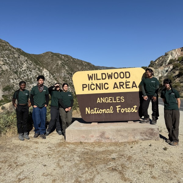 Junior Field Rangers