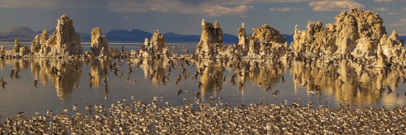 mono lake